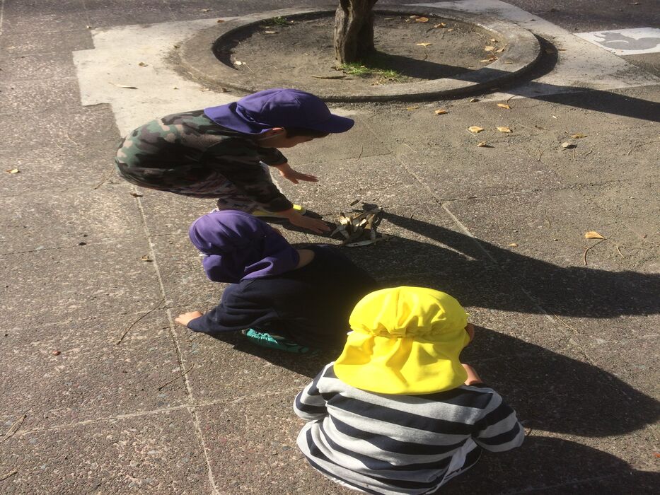 画像1378