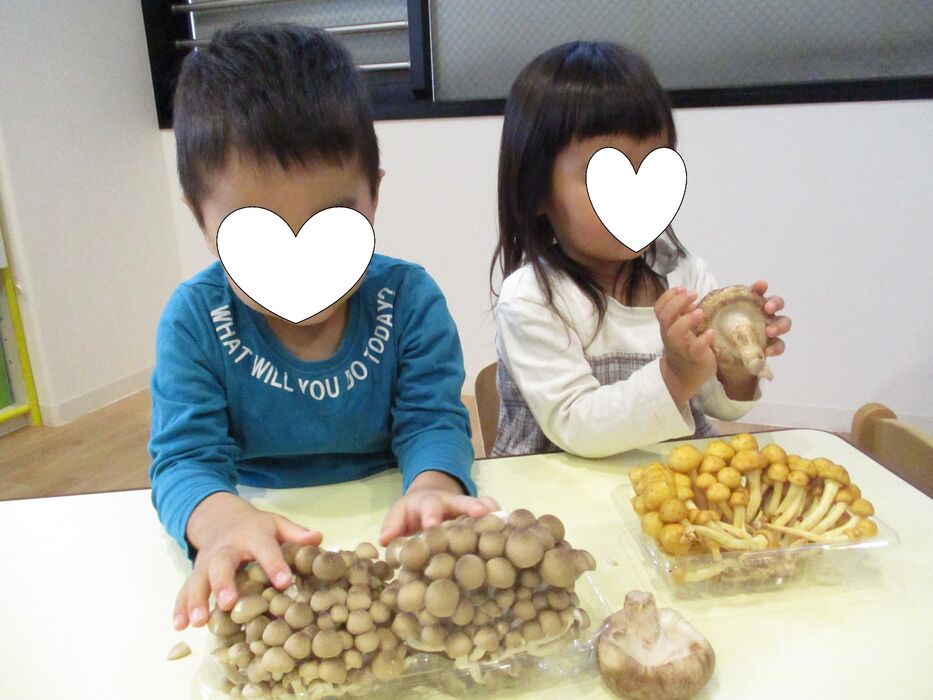 画像2317