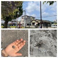 画像2369