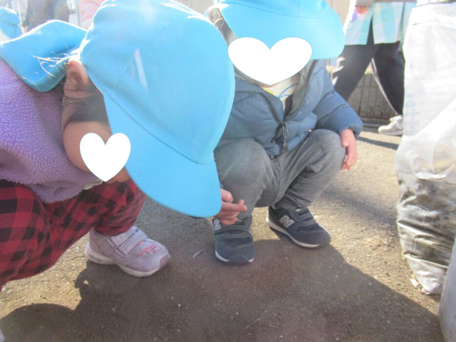 画像2698