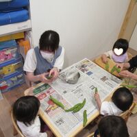 画像2788