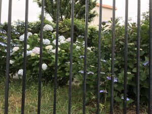 IMG_0961