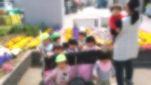 写真ふんわり_20180411_174929